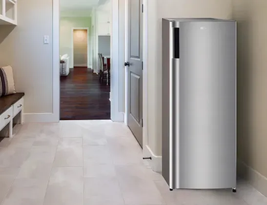 LG-single-door-freezer-LROFC0605V